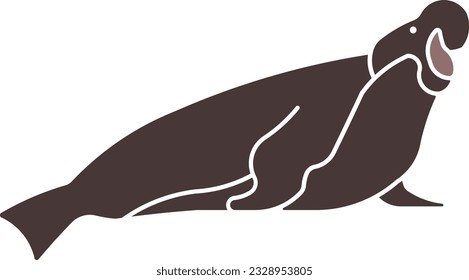 elephant seal adobenidae seal sea elephant mammal Flat