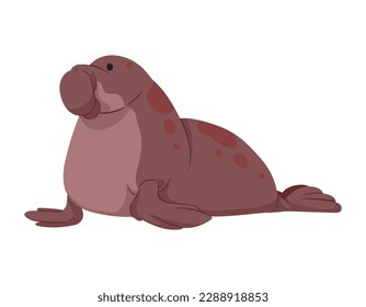 elephant seal artic animal artic animal creature character