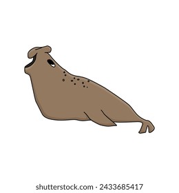 Elephant seal. Hand drawn vector cartoon isolated cute animal in Antarctica. Polar cute childish illustration on the white background