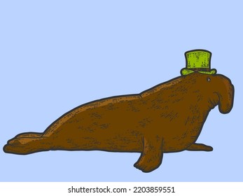 Elephant seal in hat. Sketch scratch board imitation color. Engraving vector