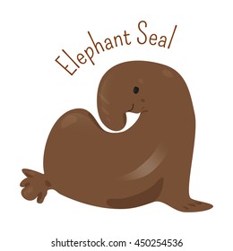 Elephant Seal isolated on white. Large, oceangoing earless in genus Mirounga. Northern and southern species. Part of series of cartoon northern animal species. Child fun pattern icon. Vector