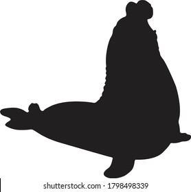 Elephant Seal (Mirounga) Silhouette Vector Found In Antartic Waters