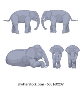 elephant set