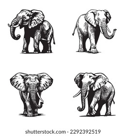 Elephant set - isolated vector images of wild animals