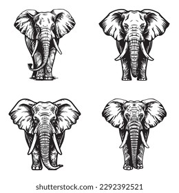 Elephant set - isolated vector images of wild animals