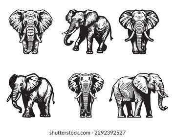 Elephant set - isolated vector images of wild animals