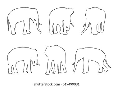 Elephant Set Path on the white background