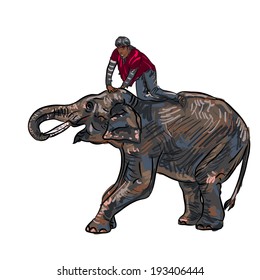 Elephant show and training with mahout