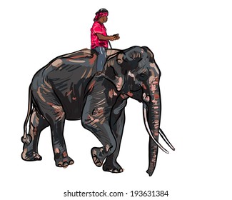 Elephant show and training with mahout