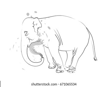 Elephant showering