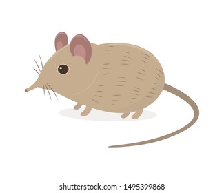 Elephant shrew vector cartoon illustration. Long nose shrew cartoon. Weird mouse vector cartoon isolated on white background. Rare animal. 