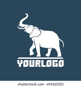 elephant sign logo emblem vector illustration on blue background