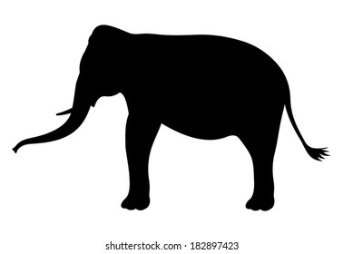 Elephant silhouette
