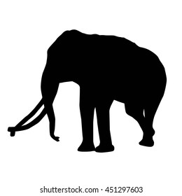 Elephant Silhouette