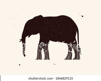 Elephant silhouette. Abstract animal shape. Night starry sky