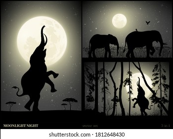 Stehender Elefant in Savanne am Mondlicht Nacht. Wüstenlandschaft mit großen Tierfamilien. Bäume in Mischwäldern. Vollmond am Sternenhimmel. Schwarz-Weiß-Vektorgrafik für Design, Dekoration