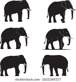 Silhueta de elefante Pacote de ilustração vetorial