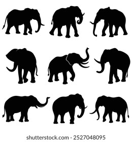 Elephant Silhouette Collection Black Vector Set Isolated on White Background