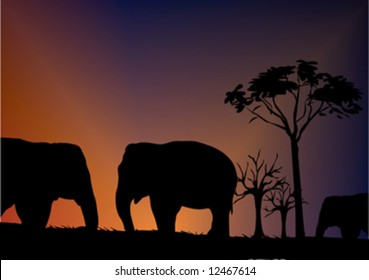 elephant silhouette front of sky