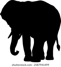 Elephant silhouette illustration vector design.