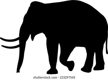 elephant silhouette on white background