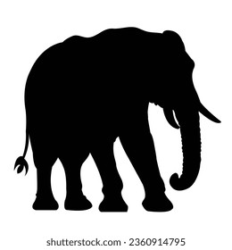 Elephant Silhouette on White background