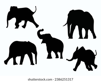 elephant silhouette on white background