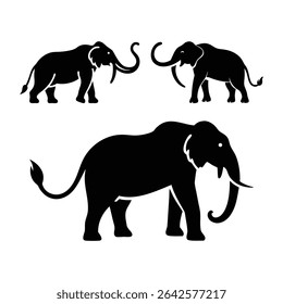 Elephant silhouette set illustration on white background