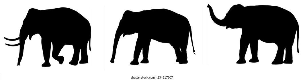 elephant silhouette set on white background