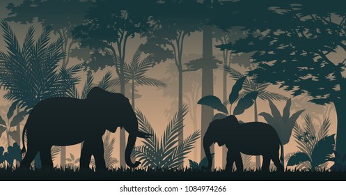 Elephant Silhouette At Sunset