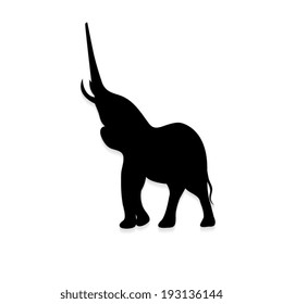  elephant  silhouette. Vector