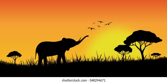 Elephant silhouette, vector