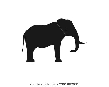 Elephant silhouette vector of African elephants in walk poses. Vector illustration of a black silhouette elephant. African elephants in various poses. vector illustration isolated on white background.