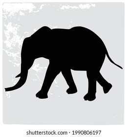 Elephant silhouette, Vector art design with white background