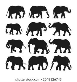 Elephant Silhouette Vector Collection - Wildlife Animal Silhouettes Illustration