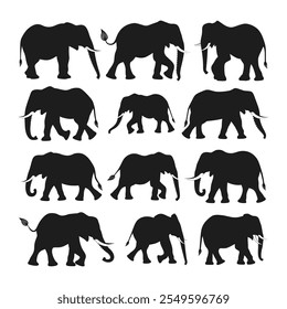 Elephant Silhouette Vector Collection - Wildlife Animal Silhouettes Illustration