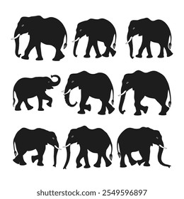 Elephant Silhouette Vector Collection - Wildlife Animal Silhouettes Illustration