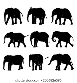Elephant Silhouette vector. Silhouette of elephants. Elephant shadow hand drawn. Animal Elephant Silhouettes vector illustration.