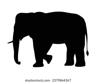 Elephant Silhouette. Elephant Vector Illustration.