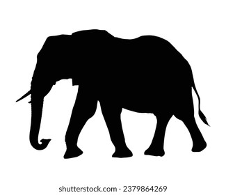 Elephant Silhouette. Elephant Vector Illustration.