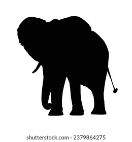 Elephant Silhouette. Elephant Vector Illustration.