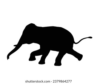 Elephant Silhouette. Elephant Vector Illustration.