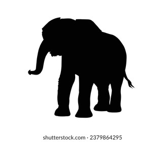 Elephant Silhouette. Elephant Vector Illustration.
