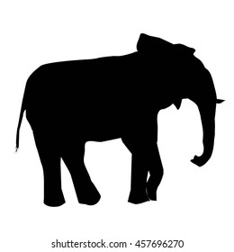 elephant silhouette - vector illustration