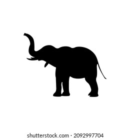 Ilustración vectorial de silueta elefante aislada
