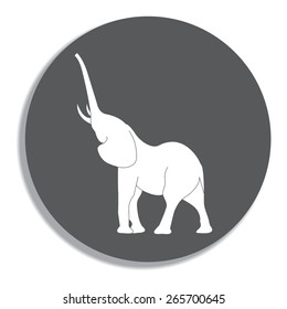 elephant silhouette. Vector on a grey background