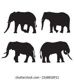 Elephant Silhouette Vector On White Background