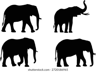   
Elefant Silhouette Vektorsatz, schwarze Tiersymbole, Tierdarstellung, Wanderelefanten-Posen, Stamm hoch und runter, Safari-Kunst, Naturgrafik, bearbeitbare Designelemente
