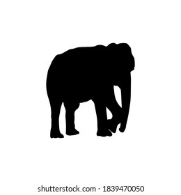 Elephant silhouettes black color on white background. Element for design. Vector illustration.