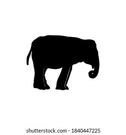 Elephant silhouettes black color on white background. Element for design. Vector illustration.